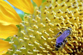 2001�N�Ђ܂��