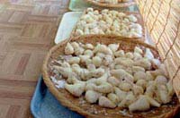 �U���ɂ����Đ������ݏo������