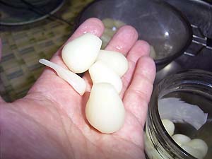 �s�̂̉��Ђ�������傤