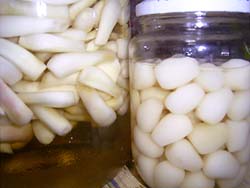 �s�̂̉��Ђ�������傤