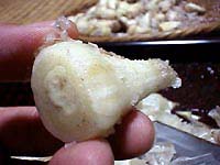 ���������@�����