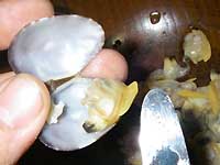 ������̒ώ�