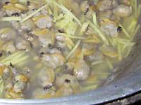 ������̒ώ�