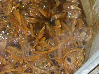 ������̒ώ�