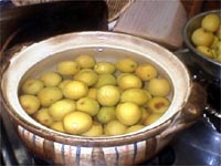 ���n�����~�A�A�ɂ݂���