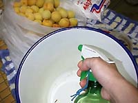 �e��̏��ł�