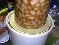 �Ђ������