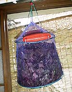 ���h�������i