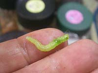 �������Ԏ��h