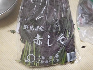 �Q�n�Y�̐Ԏ��h������