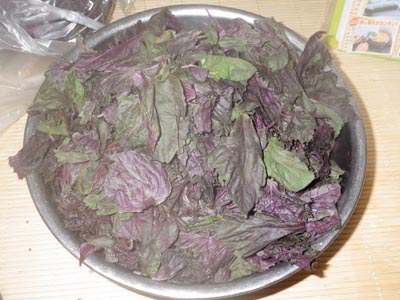 �Q�n�Y�̐Ԏ��h������