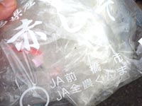 �ւ��Ȃ�̐Ԏ��h��������