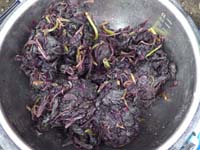 �ւ��Ȃ�̐Ԏ��h��������