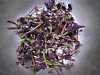 �ւ��Ȃ�̐Ԏ��h��������