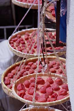 �׉Ƃ̉����Ɋ���