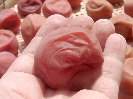 �~�����V�[��