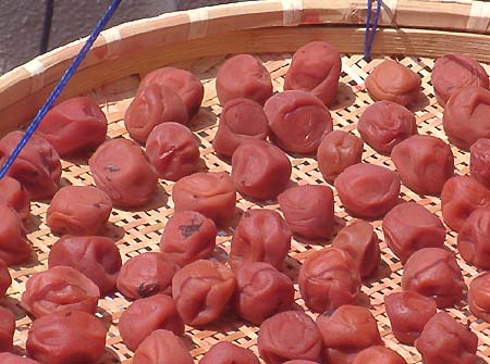 �y�p����1����