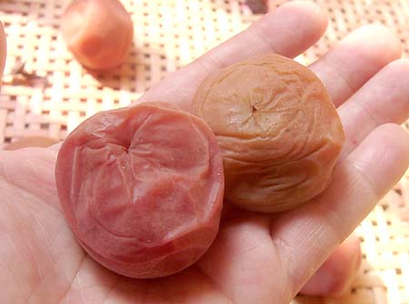 �y�p����1����