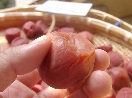 �y�p����1����