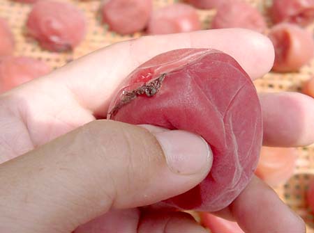 �y�p����1����