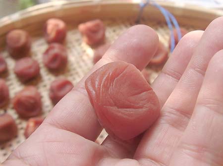 �y�p����1����