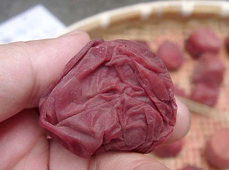 �y�p����1����