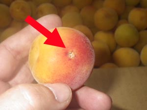 �y�p����1����