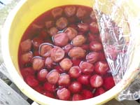 �~�����y�p����