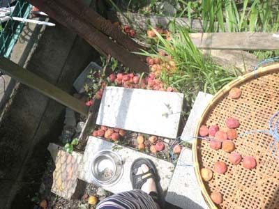 �~�����y�p����