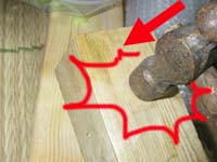 �~�̃J�`�����