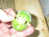 �~�̃J�`�����