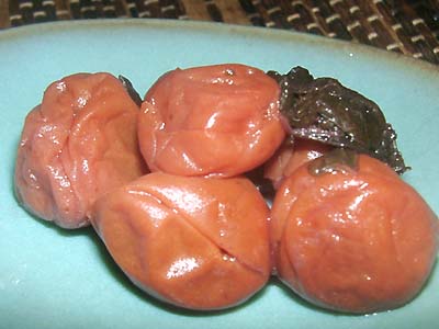 ���T���[���X���܂�̔~����