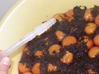 �~�|�z���u