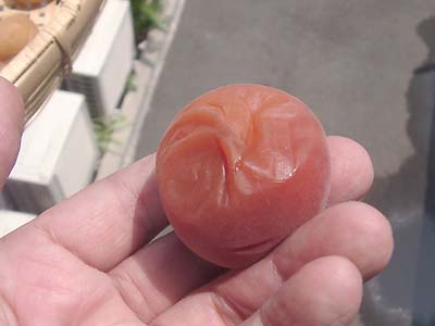 �y�p����1����