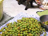 �y�p����1����