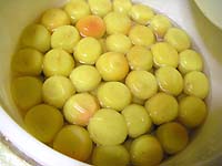 �y�p����1����