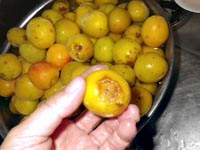 �蔲���~�W����