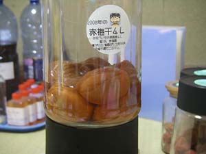 �~�����̕ۑ�