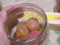 �~�����̕ۑ�