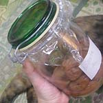 �~�����̕ۑ�