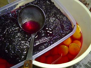 ���ɂ���p�̐Ԏ��h