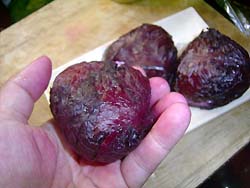 ���ɂ���p�̐Ԏ��h