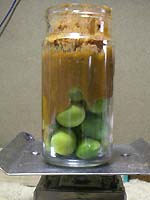 �~�i�G�L�X�j���X�̍���