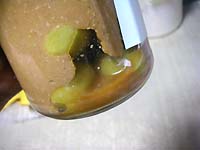 �~�i�G�L�X�j���X�̍���