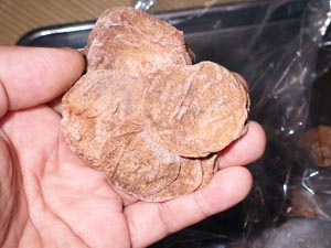 �����~�̍���