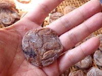 �����~�̍���