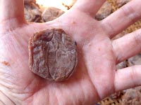 �����~�̍���