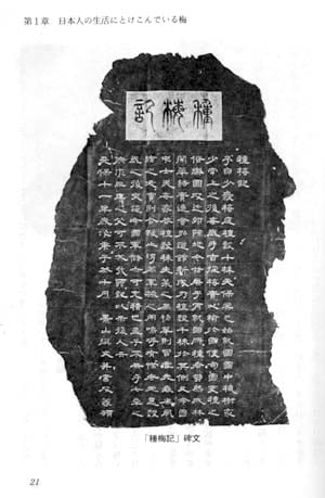 ���N�H�@���߁i�Вc�@�l�@�_�R������������