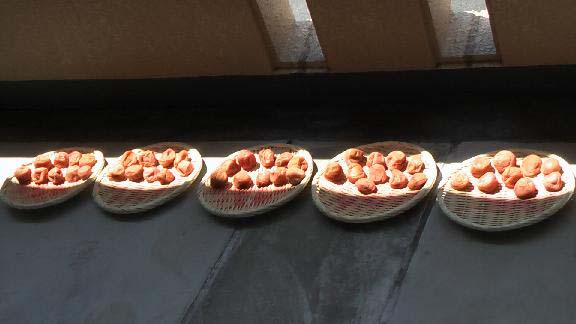 �P�C�R����̔~����