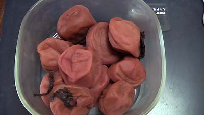 �P�C�R����̔~����